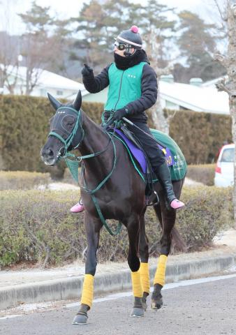 【フェブラリーS】時計以上に気配がいいアーテルアストレア　橋口調教師「広くて直線が長いコースは間違いなくいい」