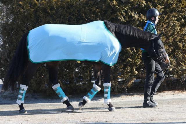 フェブラリーS出走馬確定、ドゥラエレーデは横山和とコンビ再結成