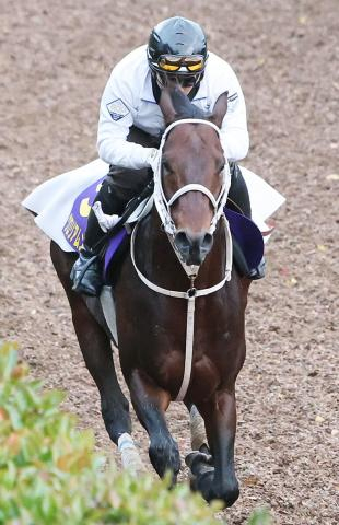 重賞2勝のグロリアムンディがJRAの競走馬登録を抹消　今後は地方競馬へ移籍の予定