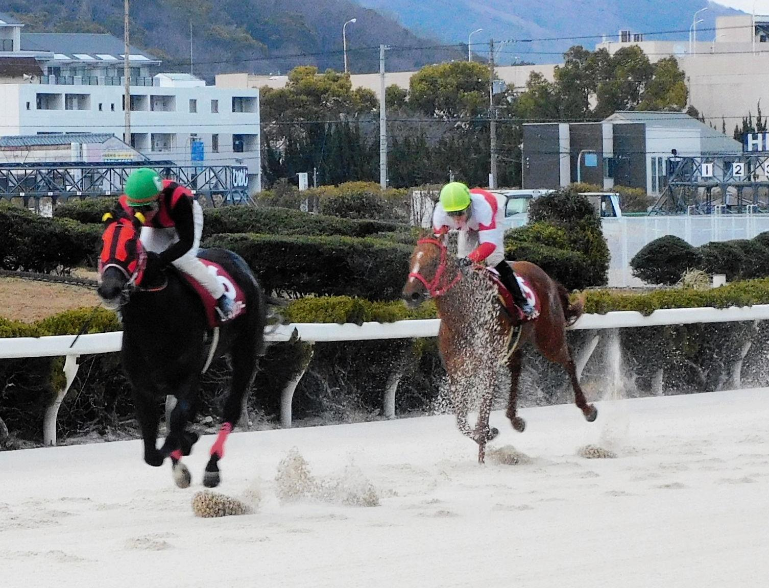 【地方競馬】エイシンハリアーが兵庫ユースカップで重賞初Ｖ　小牧太は０２年以来の姫路重賞制覇