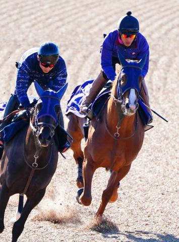 【フェブラリーS】ミッキーファイト迫力満点!　562キロ巨体で悠々加速　田中博師「走りの質変わった」