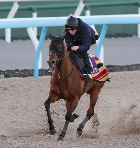 【フェブラリーS】枠順確定　女性騎手JRA・G1初制覇に挑むキング騎乗のコスタノヴァは5枠9番に決定