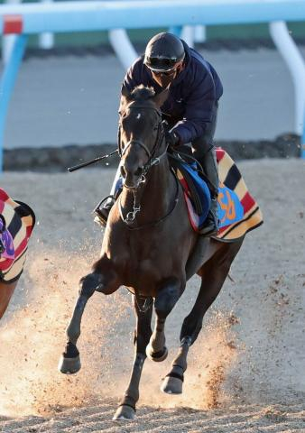 【ダイヤモンドS】昨年の菊花賞2着馬ヘデントールは4枠8番　メルボルンC2着のワープスピードは1枠1番　枠順決定