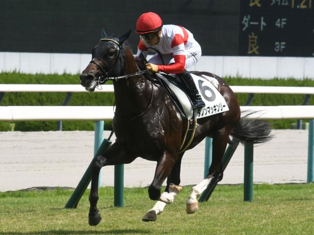 【阪急杯予想】前走1400mに出走していた馬は着順に注意！ 前走大敗で好走に黄色信号が灯る人気馬とは