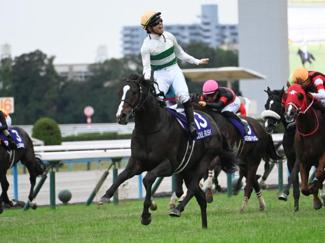 【中山記念想定馬・騎手】ソウルラッシュ、シックスペンスなど17頭