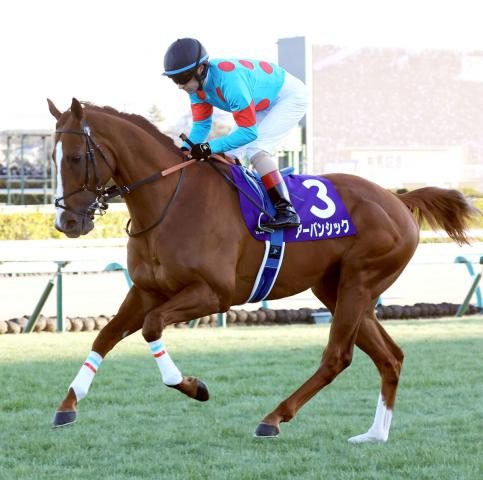 【注目馬動向】昨年の菊花賞馬アーバンシックは日経賞から始動