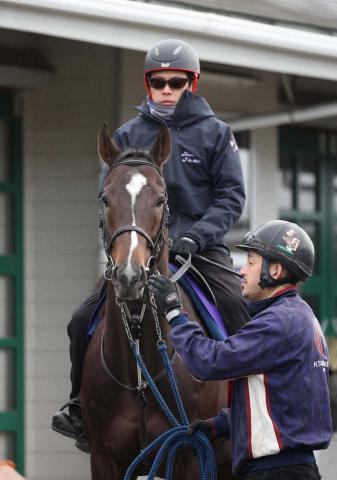 【フェブラリーS】(11)ペプチドナイル　希望通りの枠に、武英師「レースまで無事に過ごしたい」