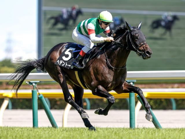 【今日の注目ポイント】東京でダイヤモンドSと京都で阪急杯 深夜にはサウジカップデー