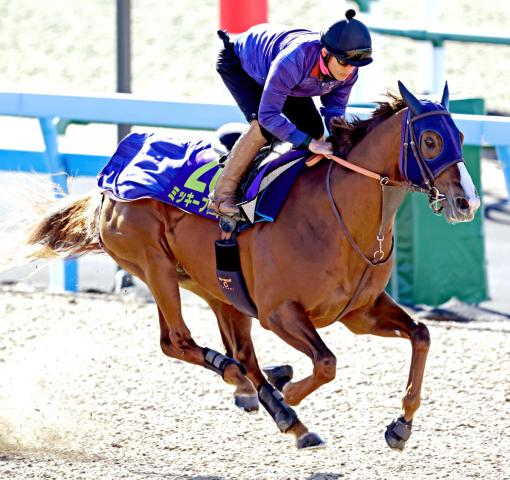 【フェブラリーS】ミッキーファイトが坂路で力強いフットワーク　陣営「明日にはもっといい状態に」