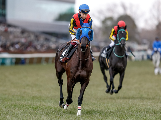 【フリージア賞レース後コメント】ヴァルキリーバース横山武史騎手ら