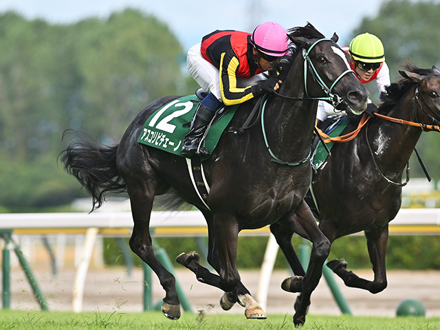 【1351ターフスプリント結果】アスコリピチェーノが接戦制す！ 2着ウインマーベルで日本勢ワンツー