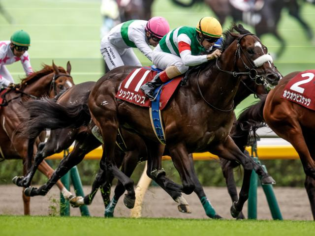 中山記念、チューリップ賞など3重賞/今週の競馬界の見どころ