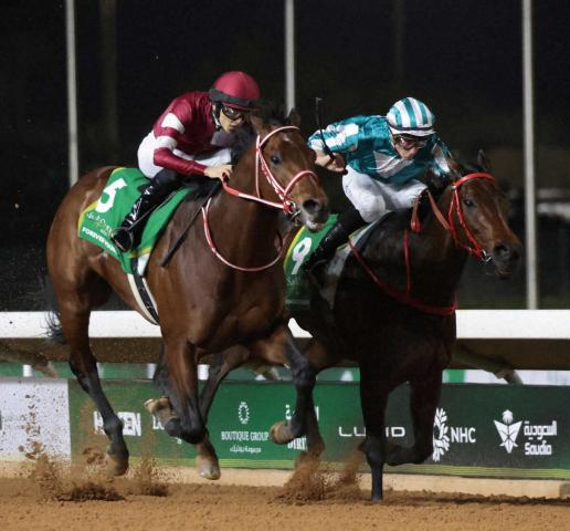 【サウジC】香港最強馬ロマンチックウォリアー　首差2着も貫禄示す!次走ドバイターフで日本馬に雪辱