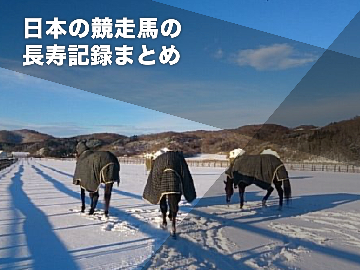 NHKマイルカップ初代王者タイキフォーチュン死す 32歳