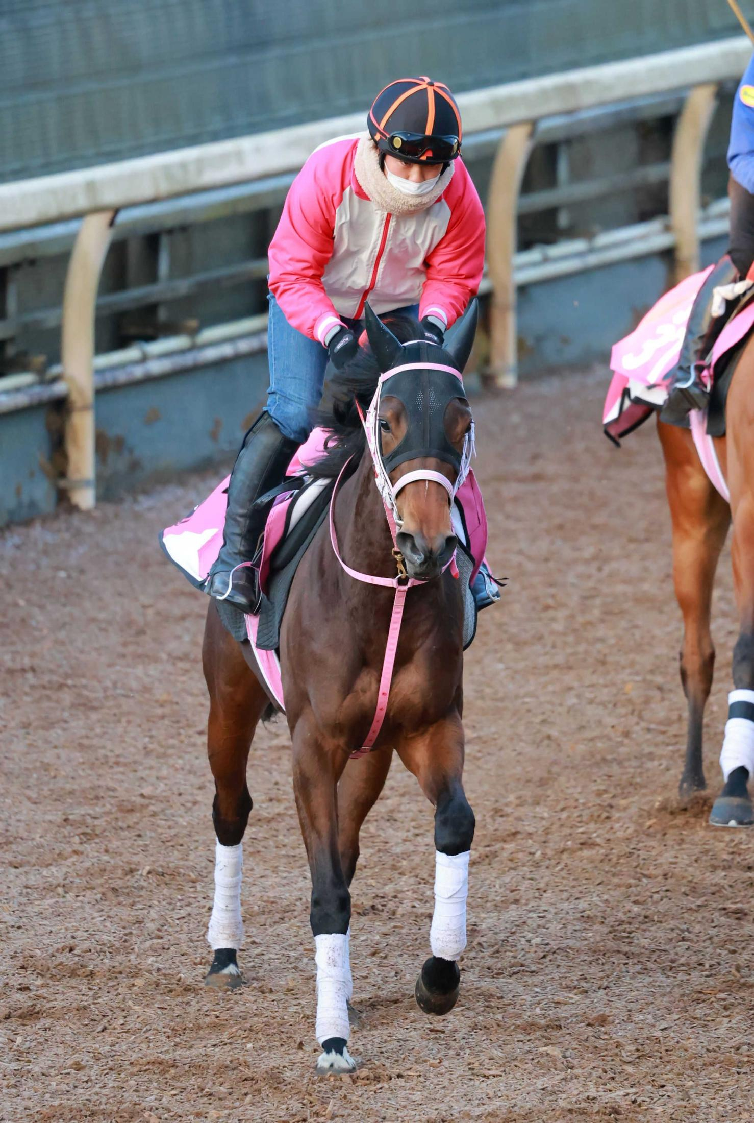 【チューリップ賞】ビップデイジー　強烈末脚でＧ１・２着馬の実力発揮へ　阪神ＪＦ組優勢！唯一のデータ減点１