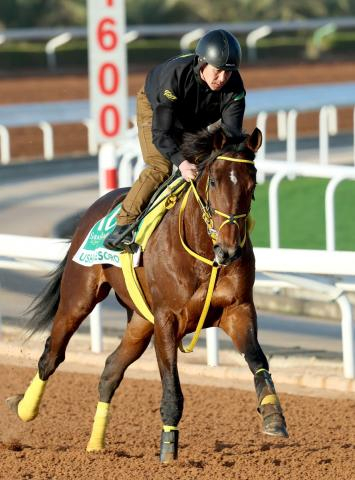 【注目馬動向】サウジCで健闘したウシュバテソーロ、ウィルソンテソーロは予定通りドバイ・ワールドCへ　既に現地入り