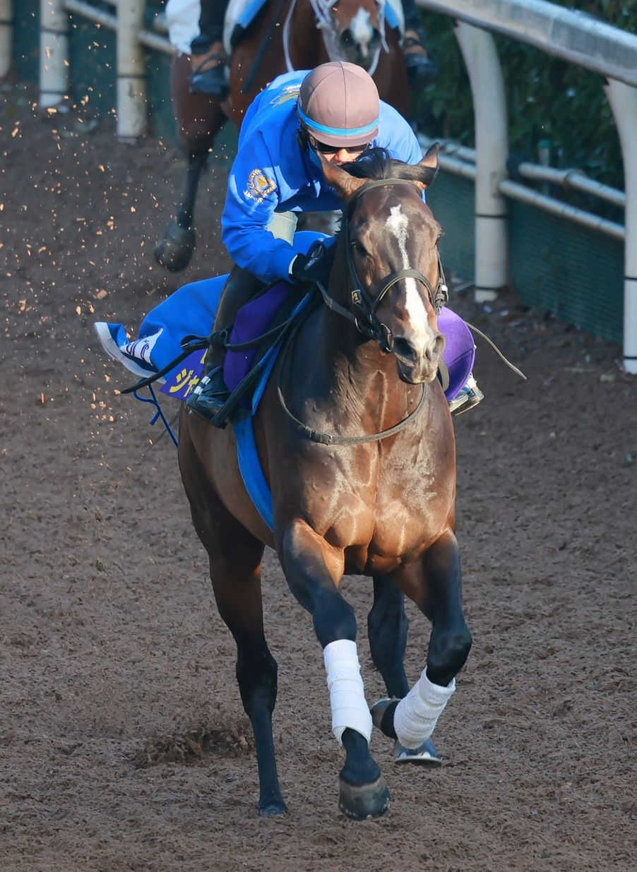 ２２年スプリンターズＳ覇者ジャンダルム急死　１０歳　引退後は種牡馬生活