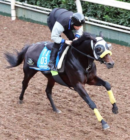 【注目馬動向】ディープインパクト産駒のシュヴァリエローズは日経賞から始動　G2・3連勝を狙う