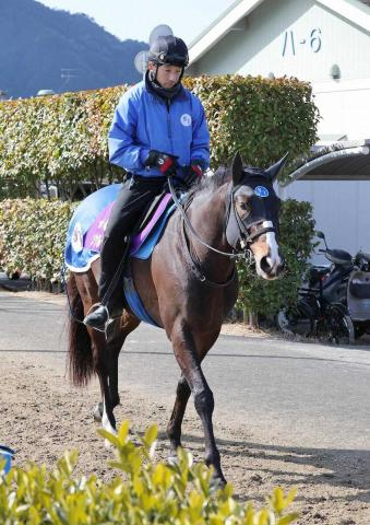 【中山記念】ソウルラッシュ　1F延長大丈夫　橋口助手「さらに良くなっています」