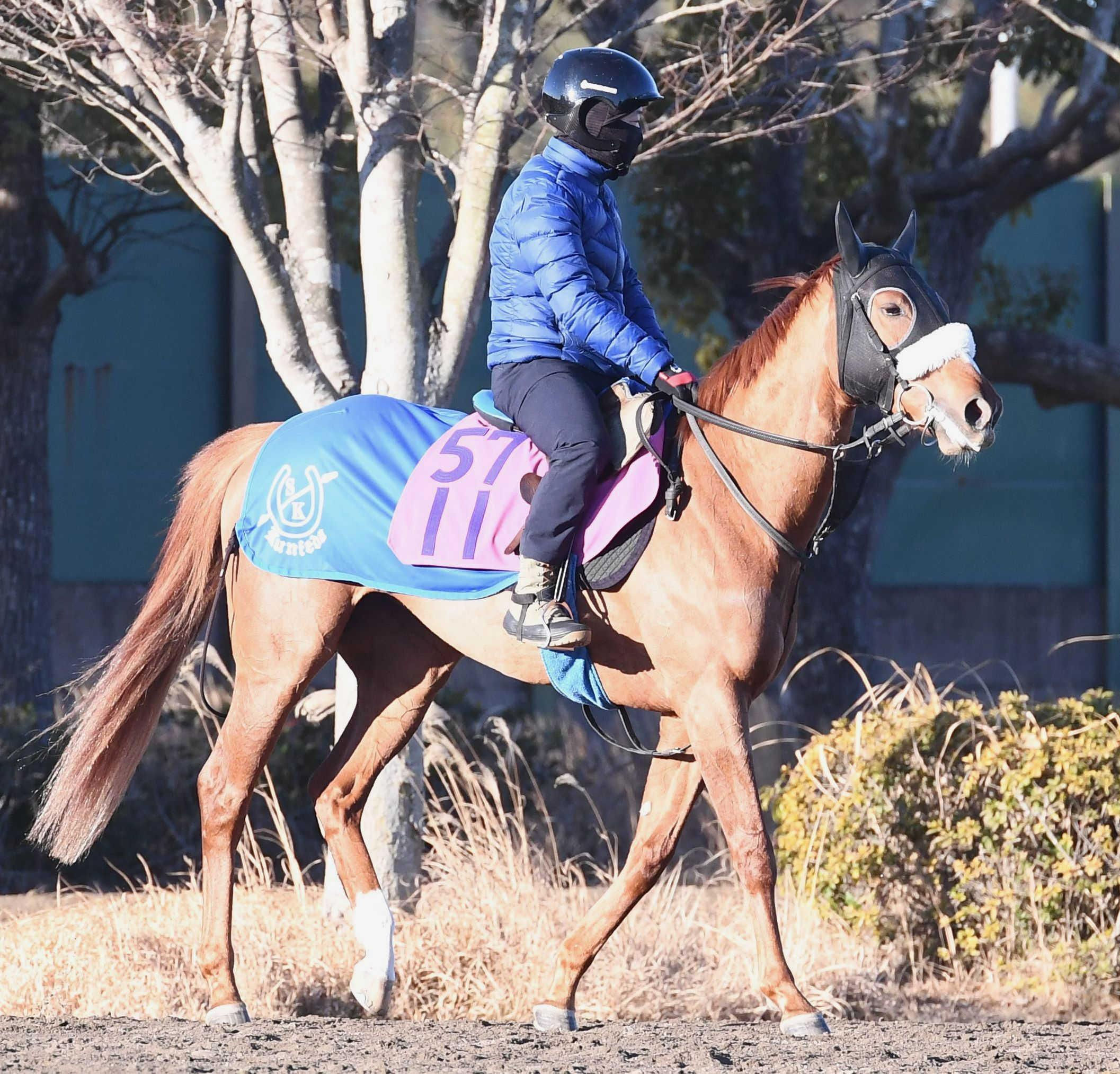 【チューリップ賞】ルージュナリッシュ　名伯楽のラストクラシックへ桜切符だ　名門・国枝厩舎期待の一頭が重賞初挑戦