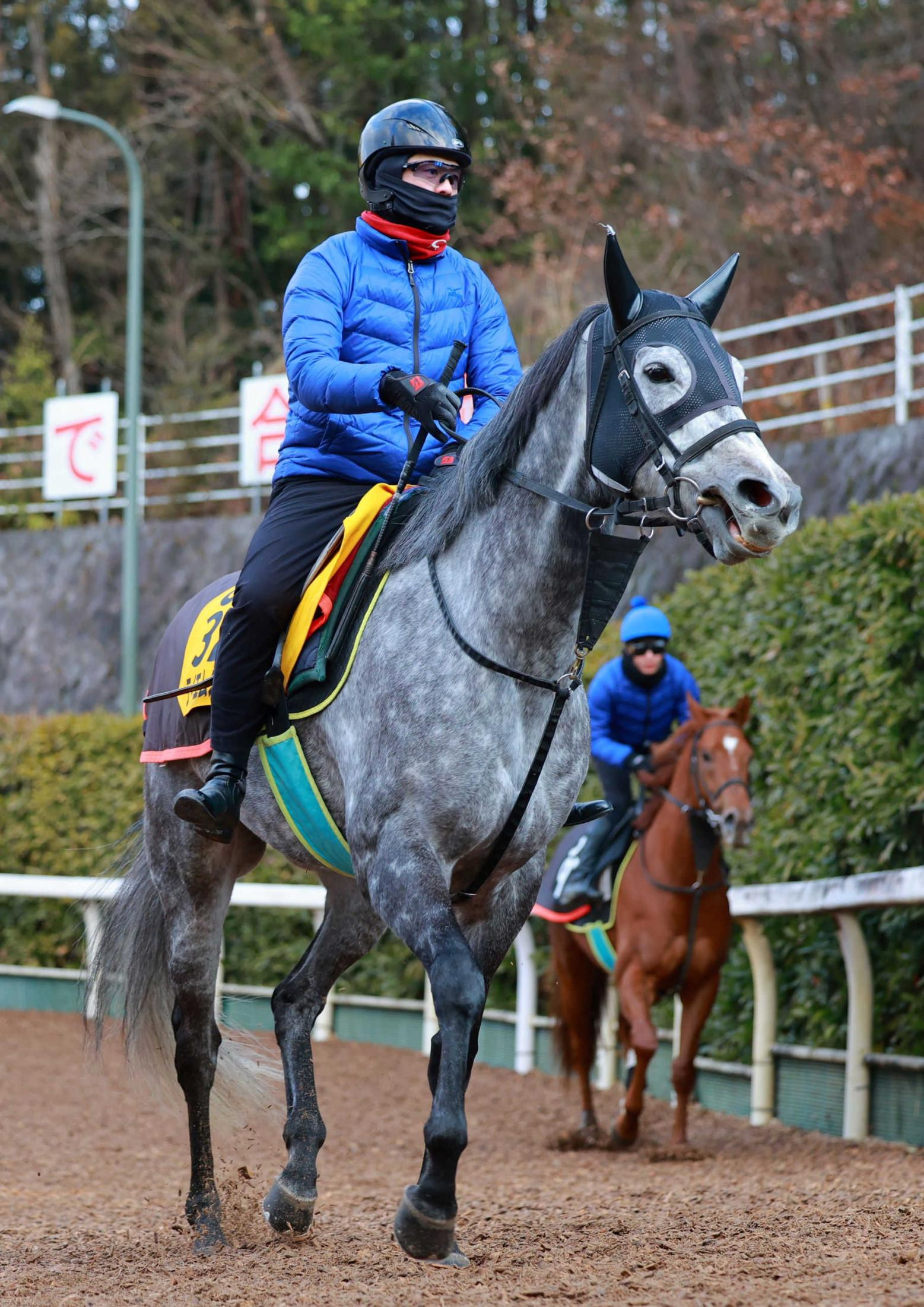 【オーシャンＳ】木原師　まな弟子富田＆テイエムスパーダで臨むラスト重賞　馬も人も育てた半世紀　有終Ｖで締めくくる