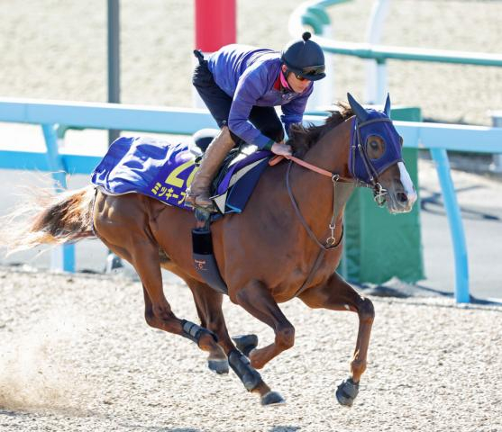 【注目馬動向】ミッキーファイトの春の大目標は帝王賞　田中博調教師「選択肢は広がったと思う」