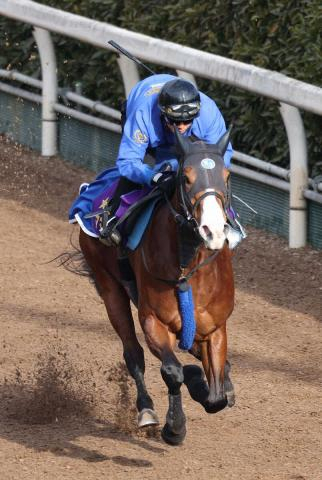 【オーシャンS】ママコチャ　仕上がりに納得、池江師「次走に向けていいステップになれば」