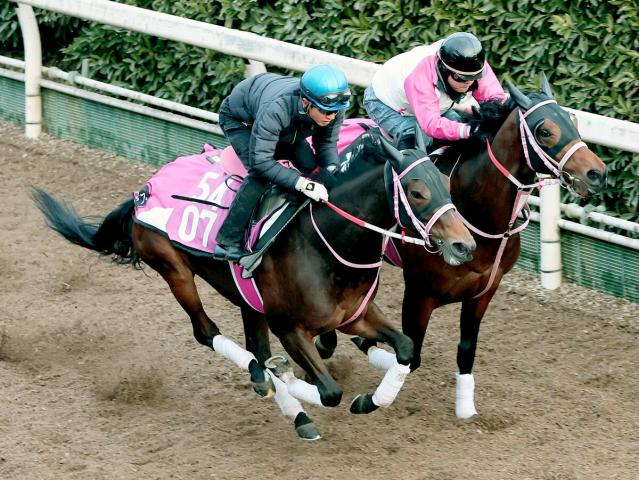 【チューリップ賞】阪神JF2着馬　桜花賞へ加速　幸英明騎手「反応良かった」松下調教師「伸びしろある」