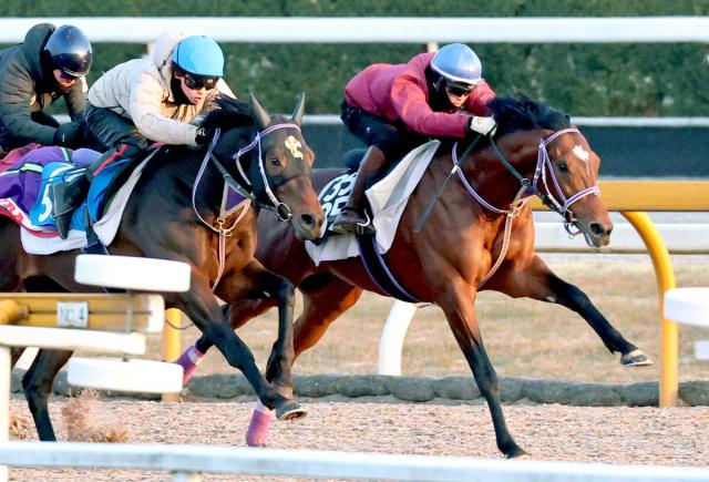 【報知杯弥生賞・1週前】ホープフルS3着馬ファウストラーゼンが3頭併せ　杉原誠人騎手「前回より動いた」