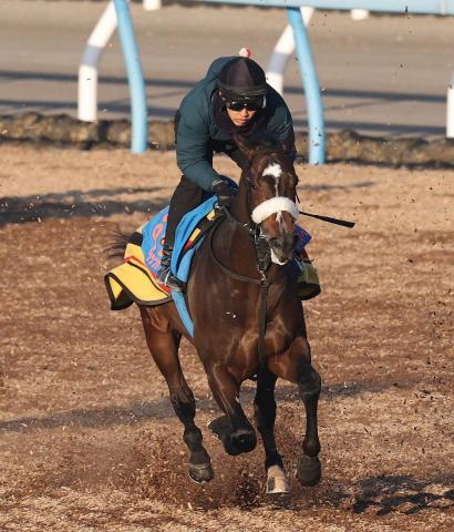 【中山記念】1800メートルは重賞2連勝中のシックスペンス　引き続きルメールとのコンビで1枠1番に決定