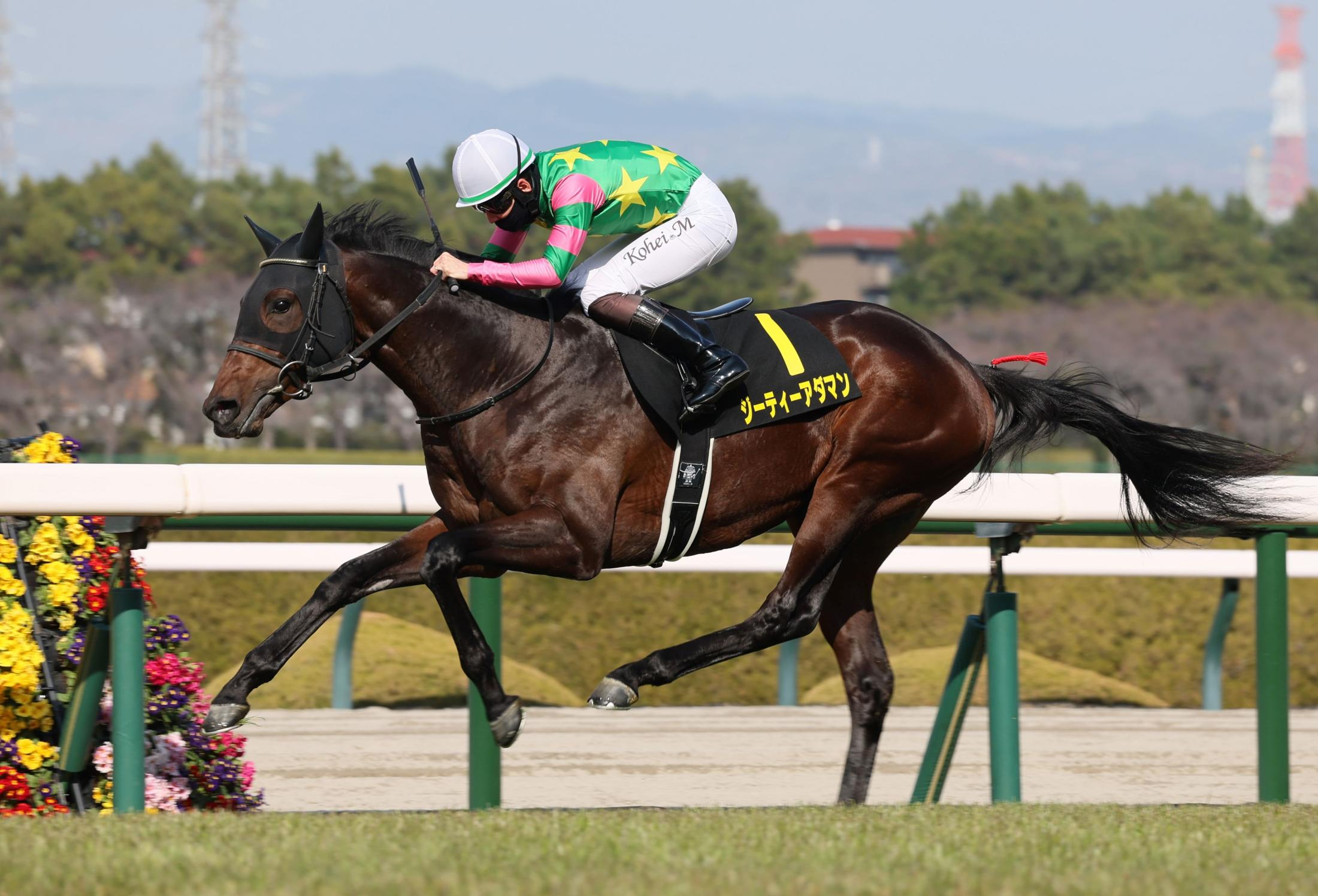 【すみれＳ】ジーティーアダマン　完封無傷２連勝　松山「まだ奥がありそう」ポテンシャル評価