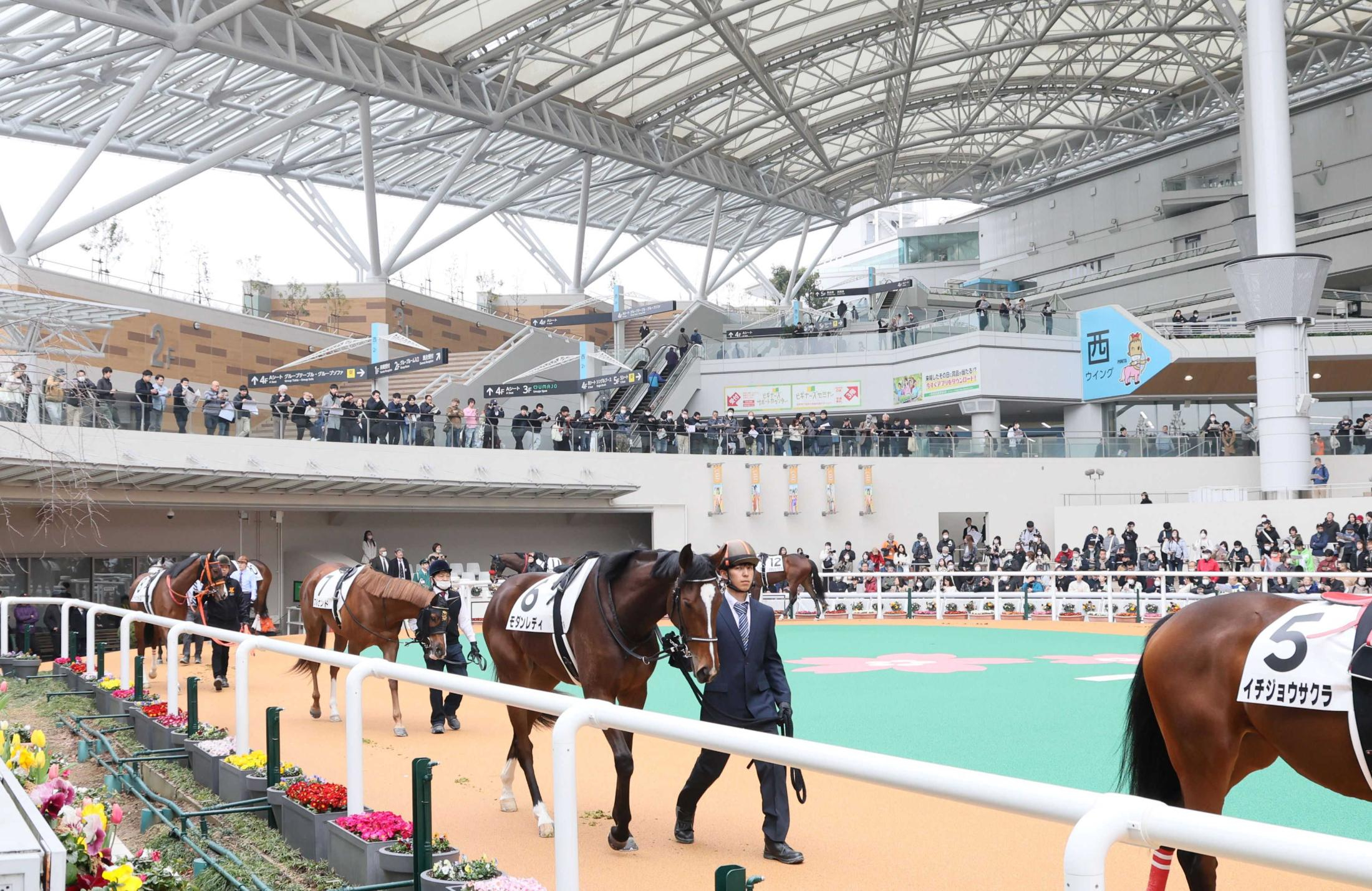 “シン”阪神競馬場リニューアルオープン　佐々木蔵之介も来場で大盛況　新たに指定席が誕生　グルメエリアも充実