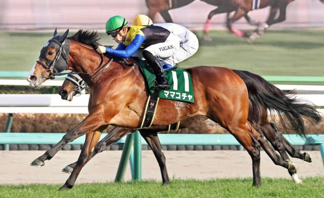 【オーシャンS】一昨年の最優秀短距離女王がG1馬の貫禄みせた!1年5か月ぶりの勝利で再度のビッグタイトルへ好発進