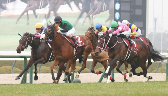 【チューリップ賞】惜しい!武豊ウォーターガーベラ2着　引退河内師の花道飾れず