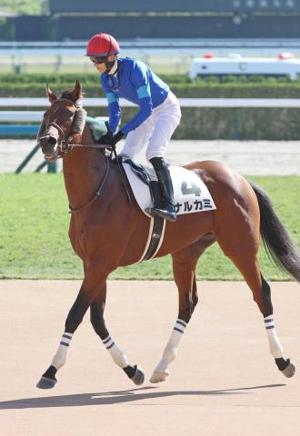 【注目馬動向】ナルカミが美浦・田中博康厩舎に転厩　昨秋のデビュー戦で大差勝ち