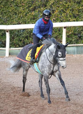 【注目馬動向】木原厩舎の重賞2勝馬テイエムスパーダは小椋厩舎へ転厩　村山厩舎のケイアイドリーは前川厩舎へ