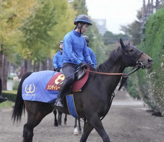 【中山牝馬S】シンティレーション　重賞連勝締めだ!フィジカル面は順調　陣営「チャンスはある」