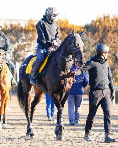 【中山牝馬S】クリスマスパレード　前走負けて強し　加藤士師「走り慣れている舞台なので勝負になる」