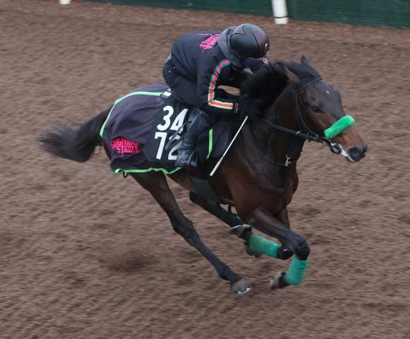 【弥生賞】ナグルファル　あえて余力残し、杉山晴師「何とか権利を獲ってクラシックへ」