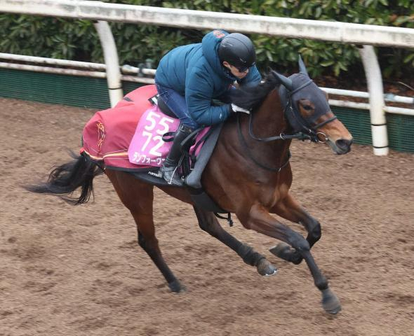 【フィリーズR】ランフォーヴァウ臨戦態勢!坂路時計まとめた　福永師「調教的には問題ない」