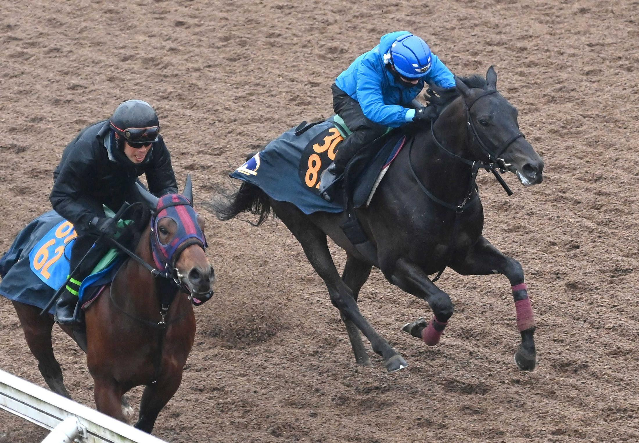 【弥生賞】ヴィンセンシオ鋭伸　雨で重馬場なんの！前走Ｖと同じ舞台も追い風　無傷３連勝でクラシック名乗りだ