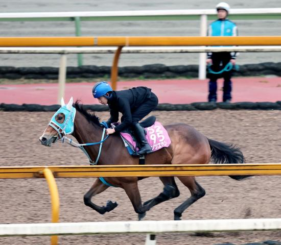 【報知杯FR】不良馬場で快走!ファンタジーS覇者が雨で重くなったチップも苦にすることもなく11秒2