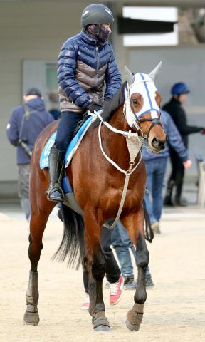 【注目馬動向】武豊騎手がメイショウタバルと中東の地で初コンビ　ドバイ・ターフの招待を受諾