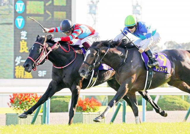 コントレイル無敗3冠を首差まで追い詰めた“怪物馬”の現在…アリストテレス、第2の馬生