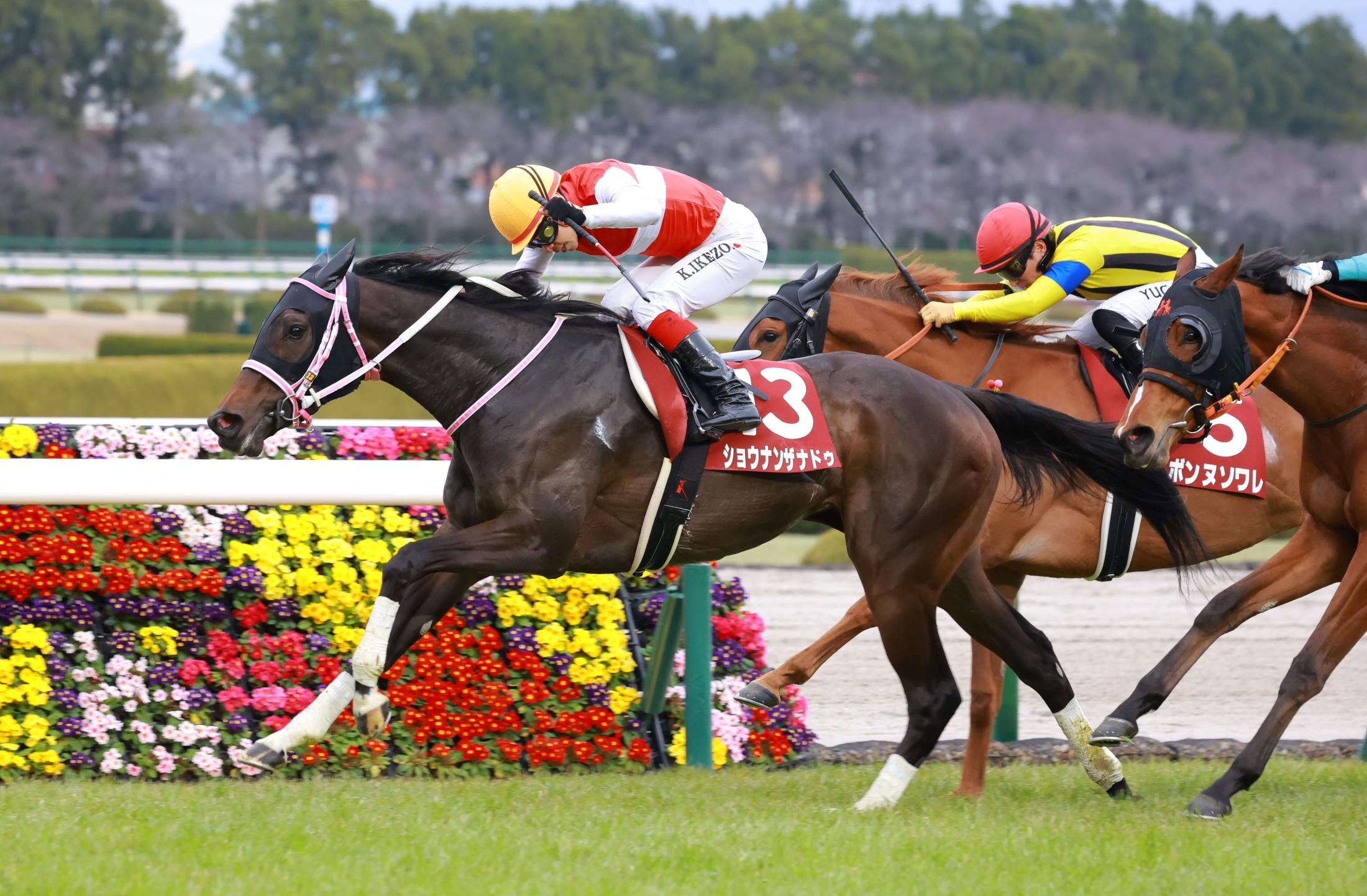 【フィリーズＲ】３番人気ショウナンザナドゥが重賞初制覇で桜切符　池添「一線級の一流馬に通ずるものがある。Ｇ１を目指していける」