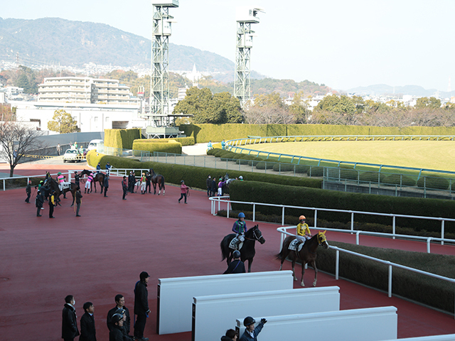 【アルメリア賞結果】テレサが人気に応えて逃げ切り勝ち