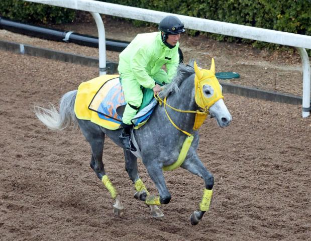 【金鯱賞】マイネルモーントは母に騎乗していた丹内祐次騎手で重賞初Vへ　「俺も年を取ったなって感じるよ(笑)」