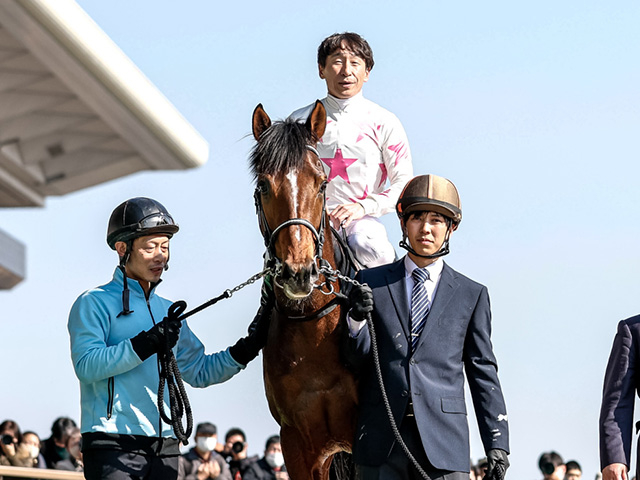 【スプリングS】横山典弘騎手が史上単独トップの4勝目へ マテンロウバローズで参戦