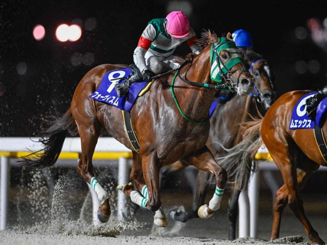 【船橋・京成盃グランドマイラーズ結果】フォーヴィスムが差し切って重賞連勝！