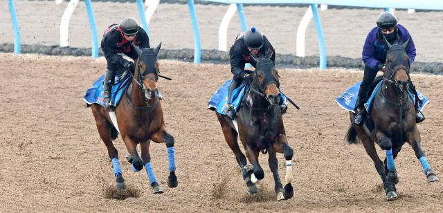 【金鯱賞】ホウオウビスケッツは思い描くローテ歩むために賞金加算を　奥村武調教師「うなるくらいの手応え」